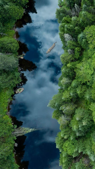 Aerial View of Boreal Forest in summer, Quebec (© Onfokus/Getty Images) mobile wallpaper