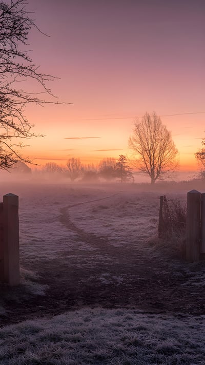 Winter sunrise in Dedham, Colchester, England (© George W Johnson/Getty Images) mobile wallpaper