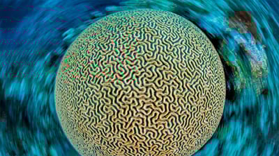 20220129