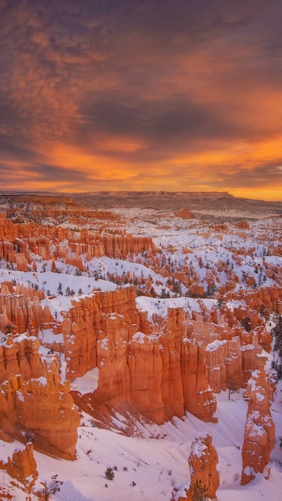 Hoodoos at Bryce Canyon National Park, Utah (© Piriya Photography/Getty Images) mobile wallpaper