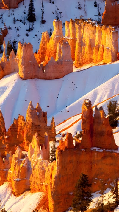 Sandstone hoodoos, Bryce Canyon National Park, Utah (© Stephen Matera/TANDEM Stills + Motion) mobile wallpaper