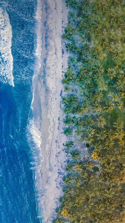 Caribbean coast near Parque Nacional Natural Tayrona, Colombia (© Nicholas Hills/Getty Images) mobile wallpaper