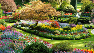 Bloom where you're planted