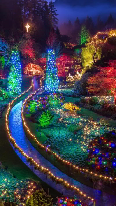 Christmas lights at the Butchart Gardens in British Columbia (© James Wheeler/Getty Images) mobile wallpaper