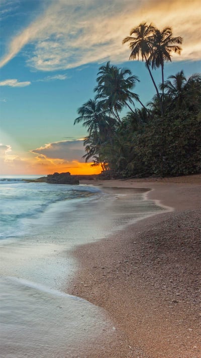 The shoreline of Gandoca-Manzanillo Wildlife Refuge, in Costa Rica (© Greg Basco/Minden Pictures) mobile wallpaper