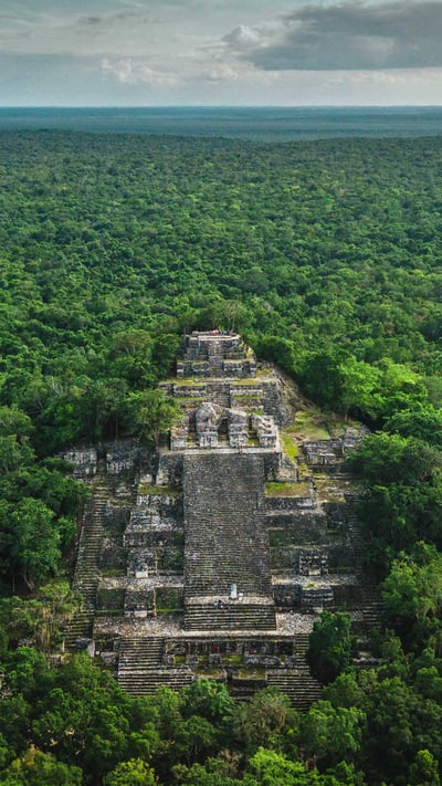 Ruins of the ancient Maya city of Calakmul surrounded by jungle in Campeche, Mexico (© Alfredo Matus/Shutterstock) mobile wallpaper
