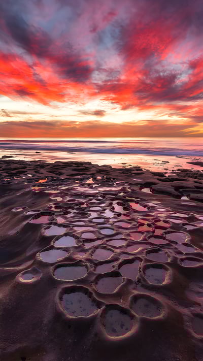 Tide pools in La Jolla, California (© Andrew Shoemaker/DanitaDelimont.com) mobile wallpaper