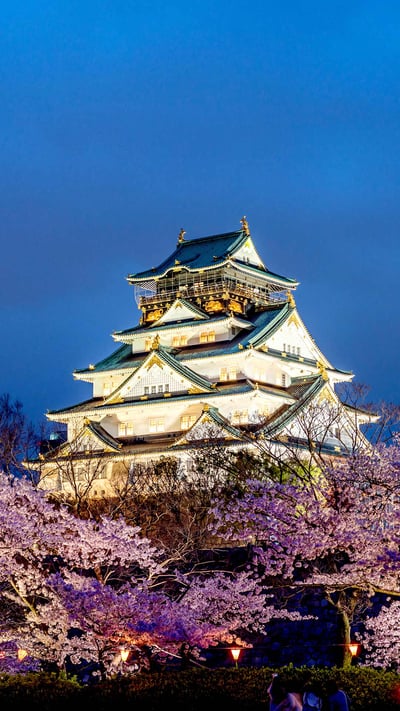 桜と大阪城, 大阪 (© Prasit Rodphan/Alamy Stock Photo) mobile wallpaper