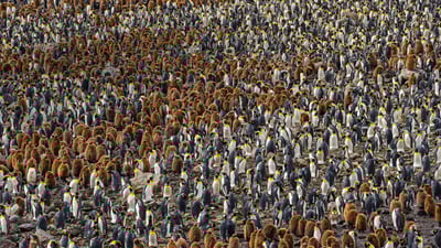 20200401