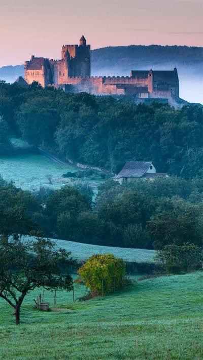Château de Beynac overlooking the Dordogne Valley in France (© Gareth Kirkland/Alamy) mobile wallpaper