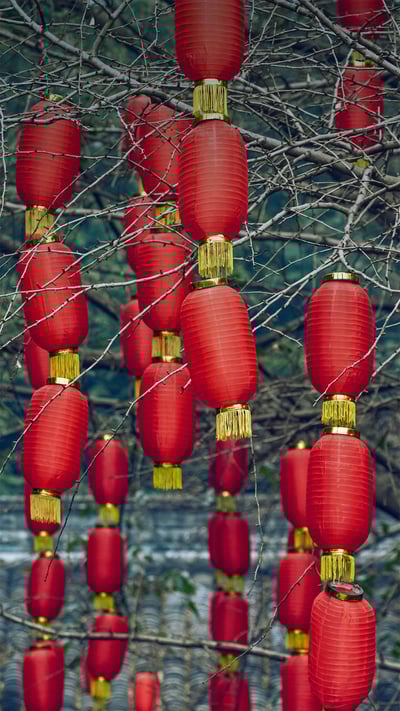 Red lanterns hanging on trees during the Lantern Festival in Chengdu, Sichuan, China (© Philippe Lejeanvre/Getty Images) mobile wallpaper