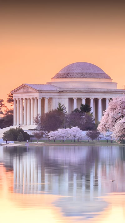 The Jefferson Memorial during the Cherry Blossom Festival, Washington, DC (© f11photo/Shutterstock) mobile wallpaper
