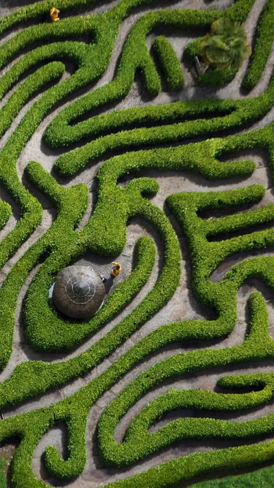 Aerial view of the cherry laurel maze in Glendurgan Garden, Cornwall, England (© Richard Cooke/Alamy) mobile wallpaper