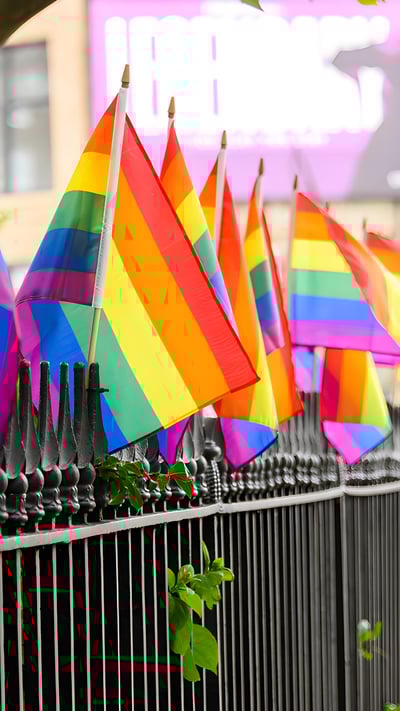 Pride flags at Christopher Park, Stonewall National Monument, New York City (© Noam Galai/Getty Images) mobile wallpaper