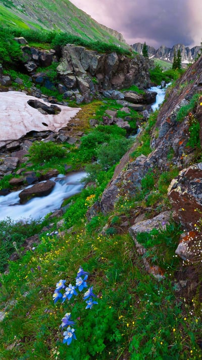 American Basin in southern Colorado's San Juan Mountains (© Blaine Harrington III/Alamy) mobile wallpaper