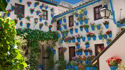 ¡Un día con color!