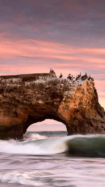 Natural Bridges State Beach in Santa Cruz, California (© Jim Patterson/Tandem Stills + Motion) mobile wallpaper