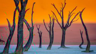Ghosts of Deadvlei