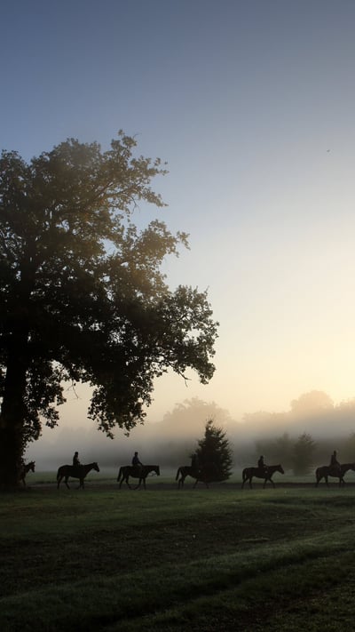 Cavaliers et leurs chevaux au petit matin, Chantilly, France (© Agencja Fotograficzna Caro/Alamy Stock Photo) mobile wallpaper