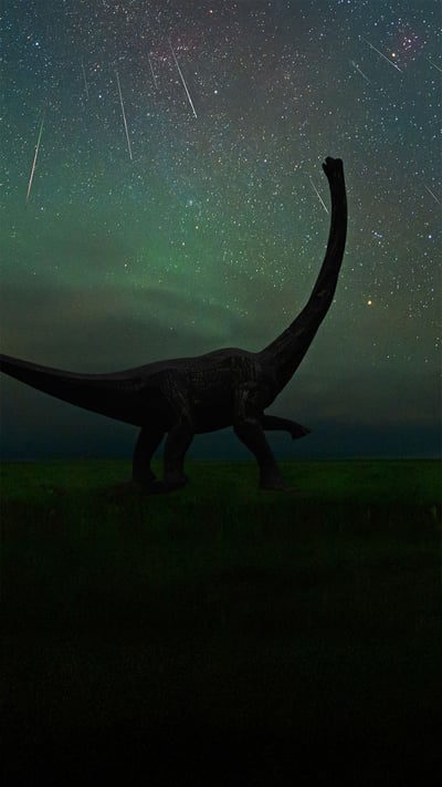 The Perseid meteor shower photographed at the Dinosaur Museum of Erenhot in Inner Mongolia, China (© bjdlzx/Getty Images) mobile wallpaper