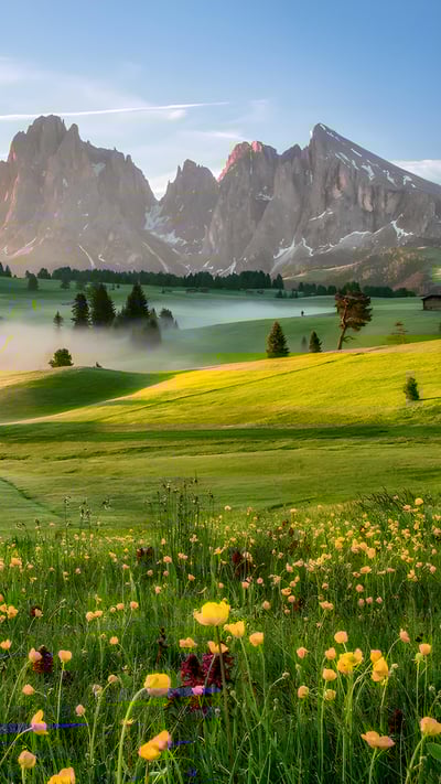Seiser Alm in the Dolomites, South Tyrol, Italy (© Achim Thomae/Getty Images) mobile wallpaper