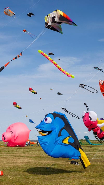 Bunte Drachen in Schillig, Wangerland, Niedersachsen (© MAURITIUS/Mauritius/SuperStock) mobile wallpaper