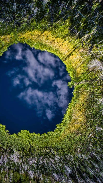 Small lake in Karula National Park, Valgamaa County, Estonia (© Sven Zacek/Minden Pictures) mobile wallpaper