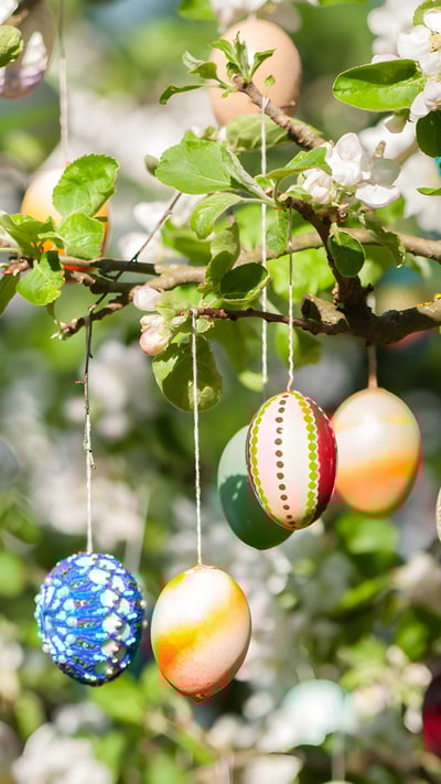 Viele bunt bemalte Ostereier an einem Apfelbaum (© Kerrick/Getty Images) mobile wallpaper