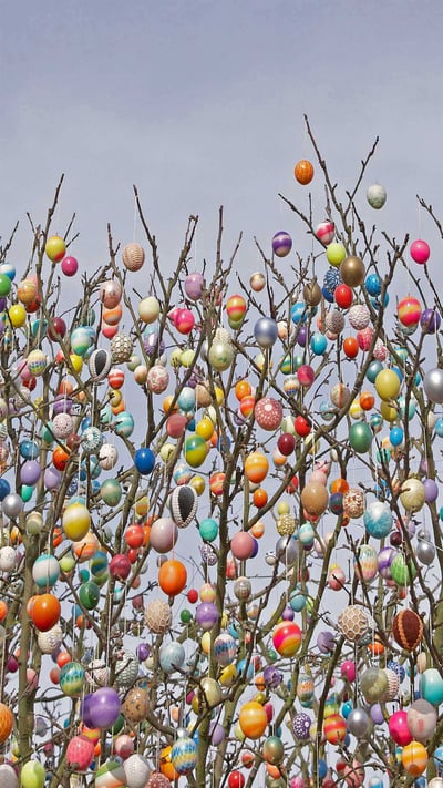 An Ostereierbaum (Easter egg tree) in Saalfeld, Germany (© Rudi Sebastian/Alamy) mobile wallpaper