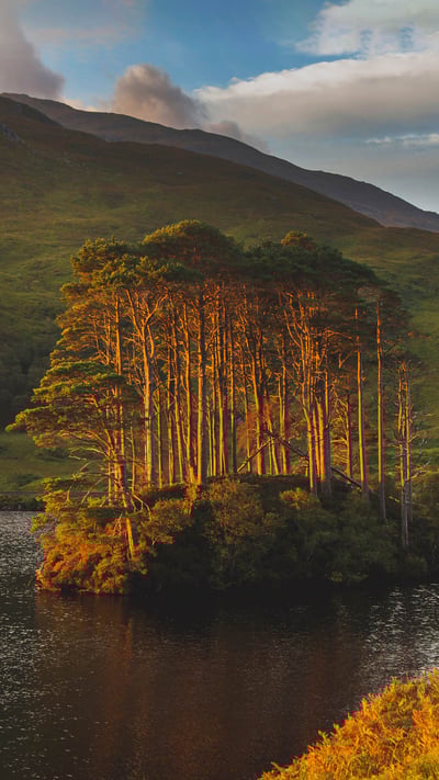 Dawn light on Eilean Na Mòine island, Loch Eilt, Scotland (© Lilly Husbands/Offset) mobile wallpaper