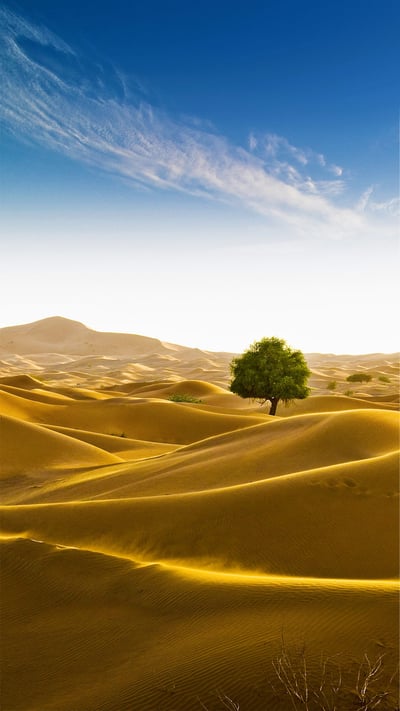 Rub' al Khali desert on the border of Oman and the Emirate of Dubai (© Daniel Schoenen/Offset by Shutterstock) mobile wallpaper