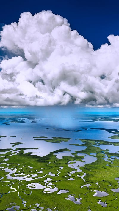 Aerial view of Everglades National Park, Florida (© Tetra Images/Getty Images) mobile wallpaper