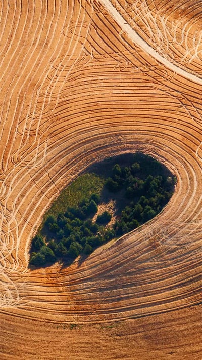 Farmland in Washington state's Palouse region (© Art Wolfe/Getty Images) mobile wallpaper