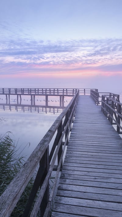 Der Federseesteg in der Morgendämmerung nahe Bad Buchau, Baden-Württemberg, Deutschland (© Reinhard Schmid/Huber/eStock Photo) mobile wallpaper