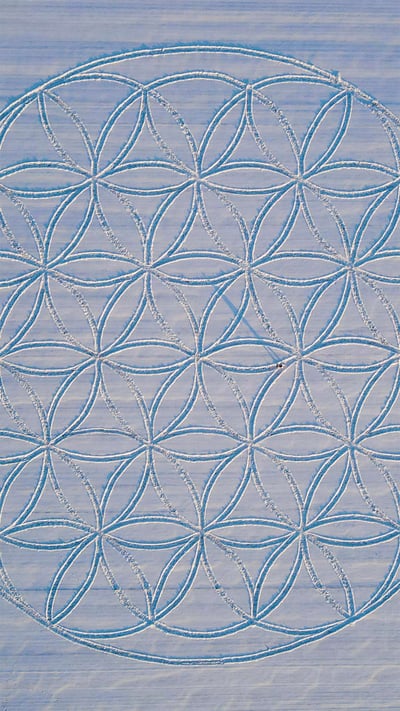 The 'Flower of Life' symbol drawn in the snow by artist Michael Uy, Jacobsdorf, Brandenburg, Germany (© Patrick Pleul/picture alliance via Getty Images) mobile wallpaper