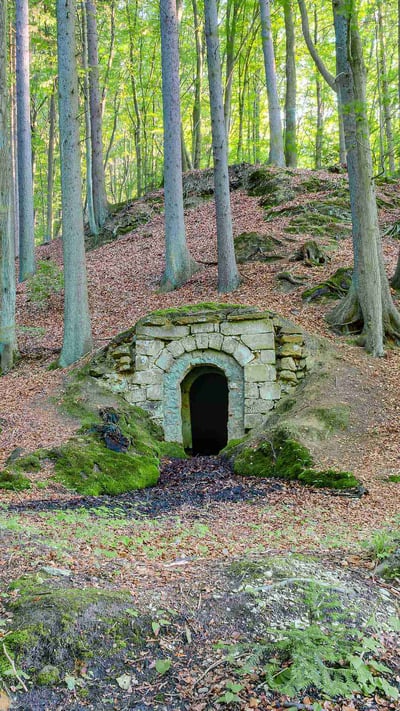 Old underground cellar, Bavaria, Germany (© Andreas Zerndl/Getty Images) mobile wallpaper