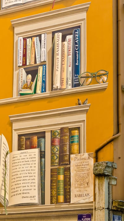 Mur peint des écrivains, Lyon, France (© Russ Bishop/Alamy Stock Photo) mobile wallpaper