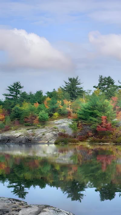 French River, Ontario, Canada (© Tim Fitzharris/Minden) mobile wallpaper