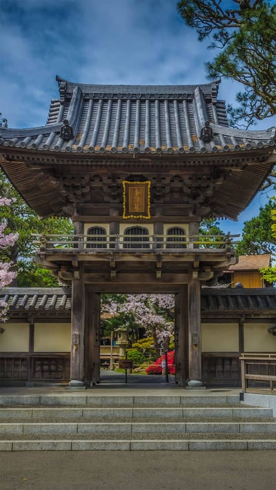 Cherry blossoms at the Japanese Tea Garden in Golden Gate Park, San Francisco, California (© luisascanio/iStock/Getty Images) mobile wallpaper