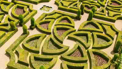 Geometry in bloom