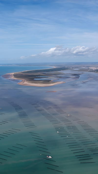 Parc ostréicole à La Faute-sur-Mer, Pointe d'Arcay France, Vendée (© LEROY Francis/hemis.fr) mobile wallpaper