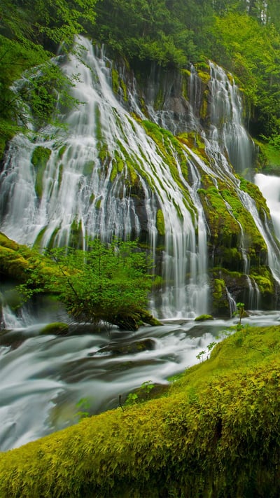 Panther Creek Falls in spring, Gifford Pinchot National Forest, Washington (© Stephen Matera/Tandem Stills + Motion) mobile wallpaper
