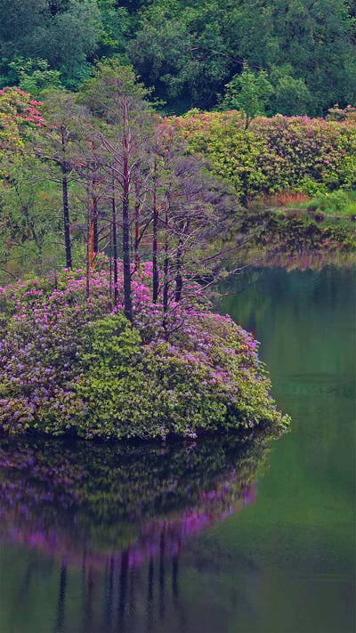 Small loch in Glen Etive, Scotland (© Oliver Hellowell/Minden Pictures) mobile wallpaper