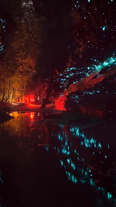 Glowworms in Blue Mountains National Park, Australia (© Leelakajonkij/Getty Images) mobile wallpaper