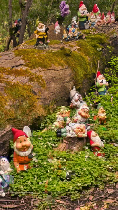 Gnomesville in the Shire of Dardanup, Australia (© Amanda Hughes/Alamy) mobile wallpaper