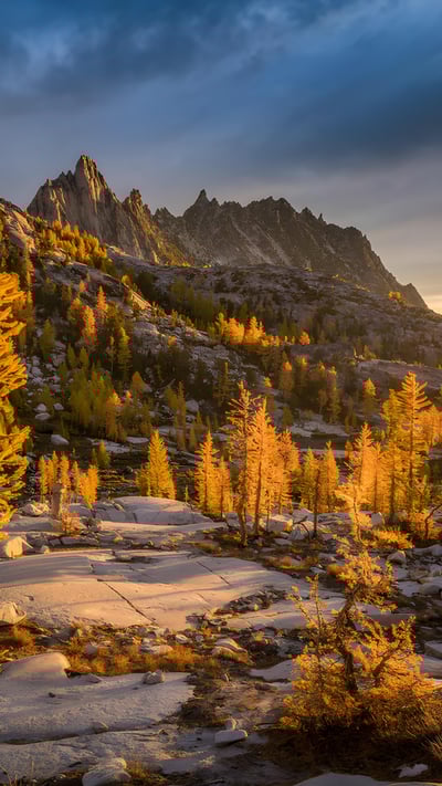 Golden larches and Prusik Peak, the Enchantments, Washington (© Jim Patterson/Tandem Stills + Motion) mobile wallpaper