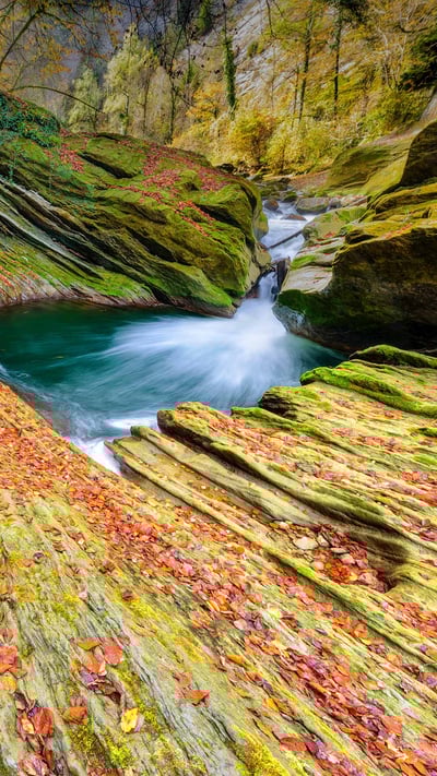 Chéran River running through a gorge, Savoie, France (© Jean-Philippe Delobelle/Minden) mobile wallpaper
