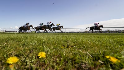 Hold your horses—it's race time!