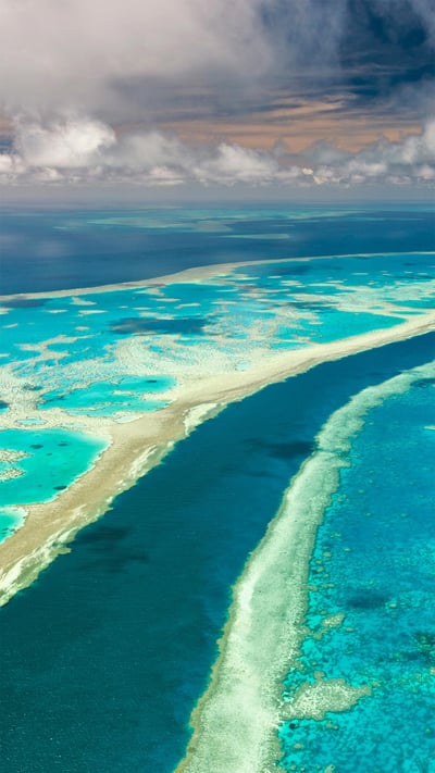 Great Barrier Reef, Queensland, Australia (© AWL Images/Danita Delimont) mobile wallpaper