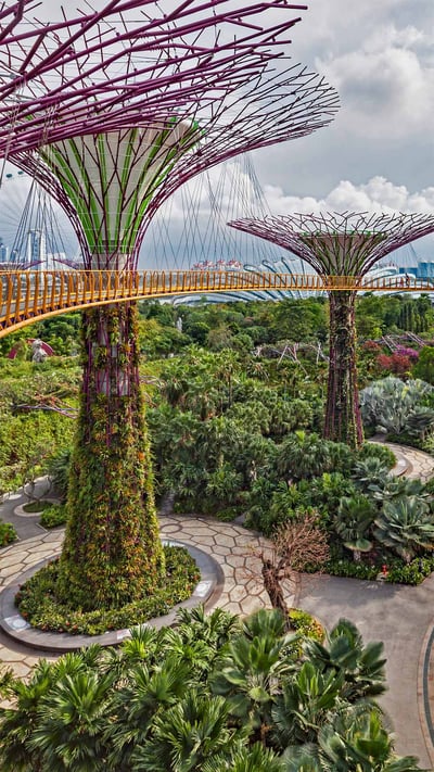 The Supertree Grove in Singapore's Gardens by the Bay (© John Warburton-Lee/Danita Delimont) mobile wallpaper